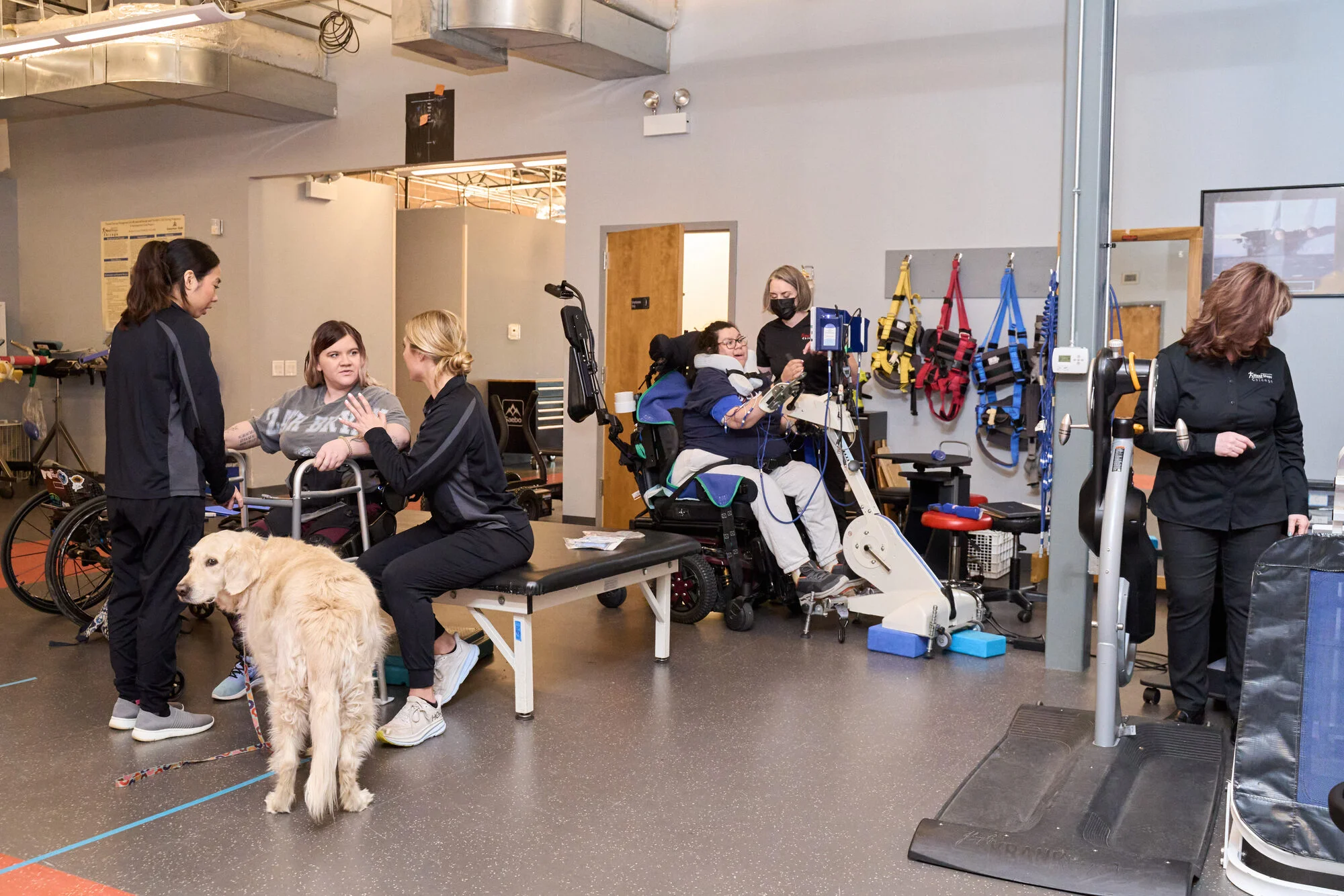 Spinal cord injury rehabilitation